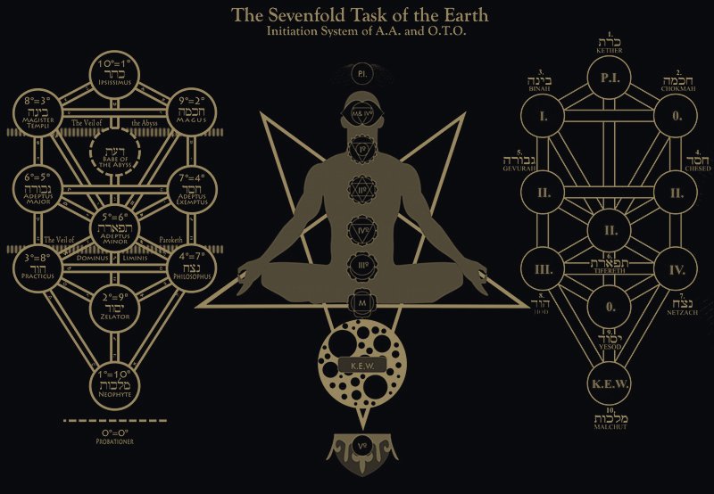 OTO Tree of Life