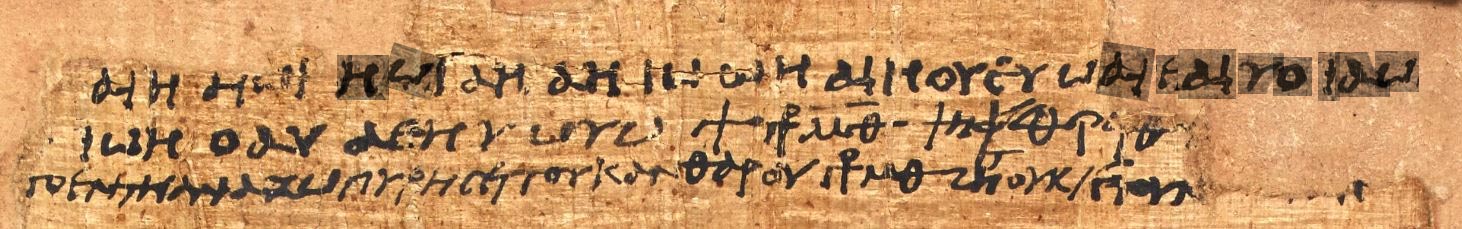 Papyrus