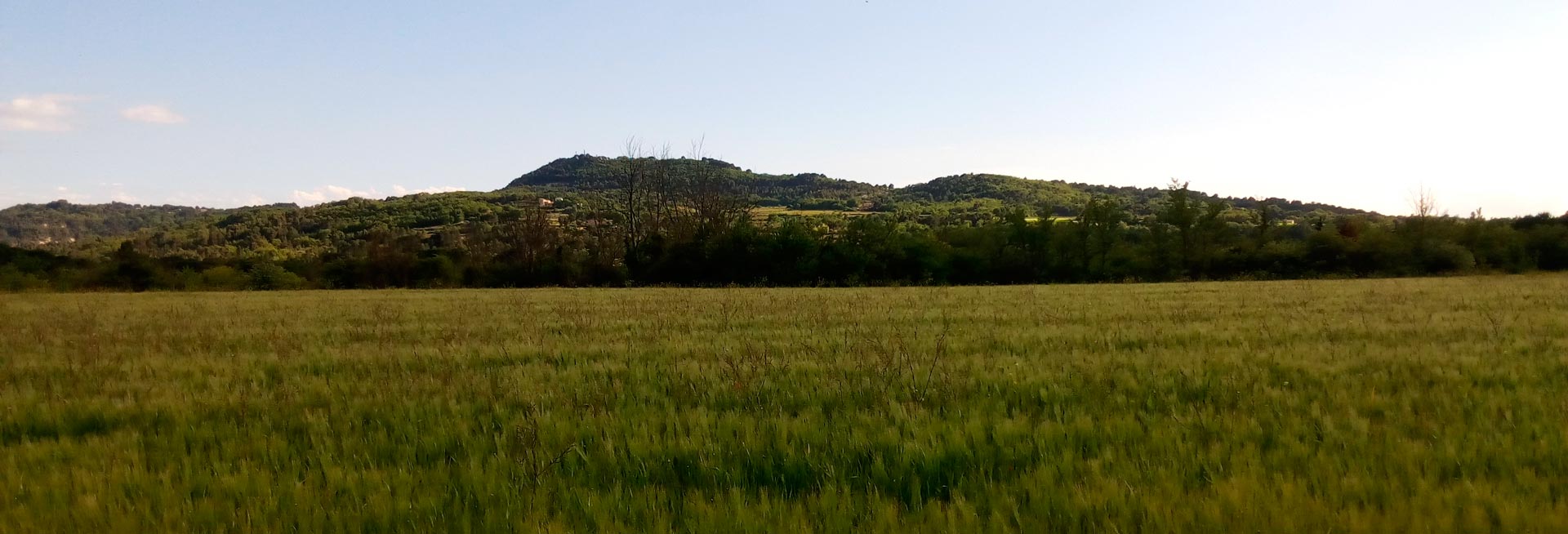 Provence