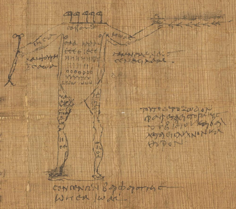 Papyrus